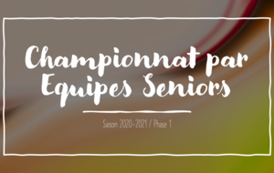 Saison 2020-2021 / Phase 1 : Championnat par Equipes Seniors